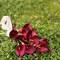 Artificial Calla Lily Red Flowers 12Pcs for Wedding Bouquet Home Decoration Faux Calla Lilies Flower, Dark Red